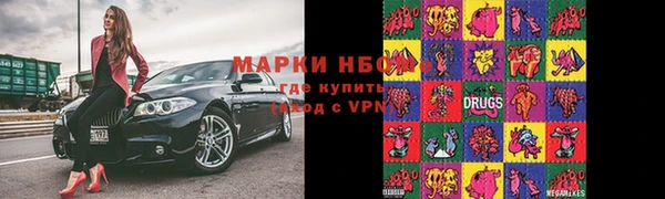 твердый Арсеньев