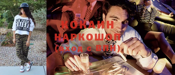 твердый Арсеньев