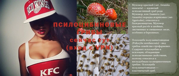 эйфоретик Армянск